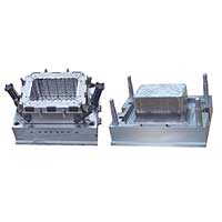 Injection Mould(8)