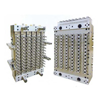 PET Preform Mould